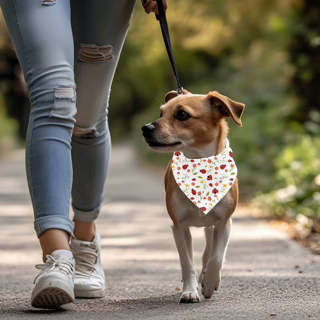 Bandana pour chien et chat coccinelles et fleurs | Amis & Animaux