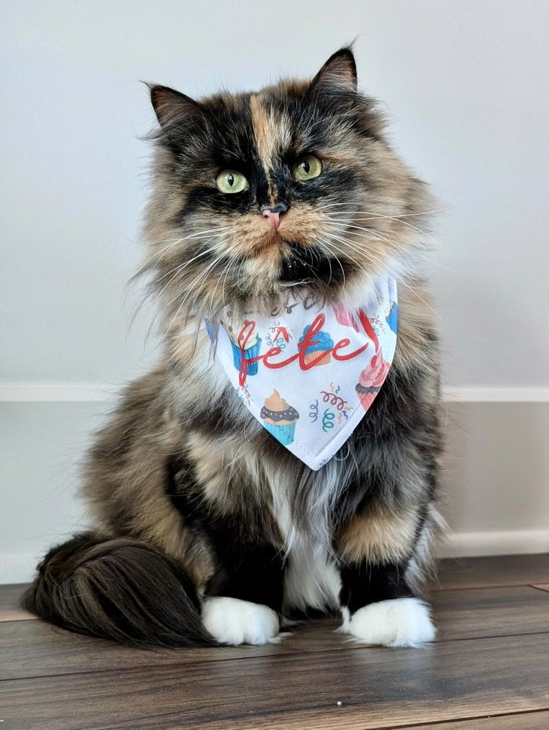 Bandana anniversaire pour chien et chat – C'est ta fête ! | Amis & Animaux