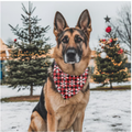Bandana pour animaux - Le classique carotté