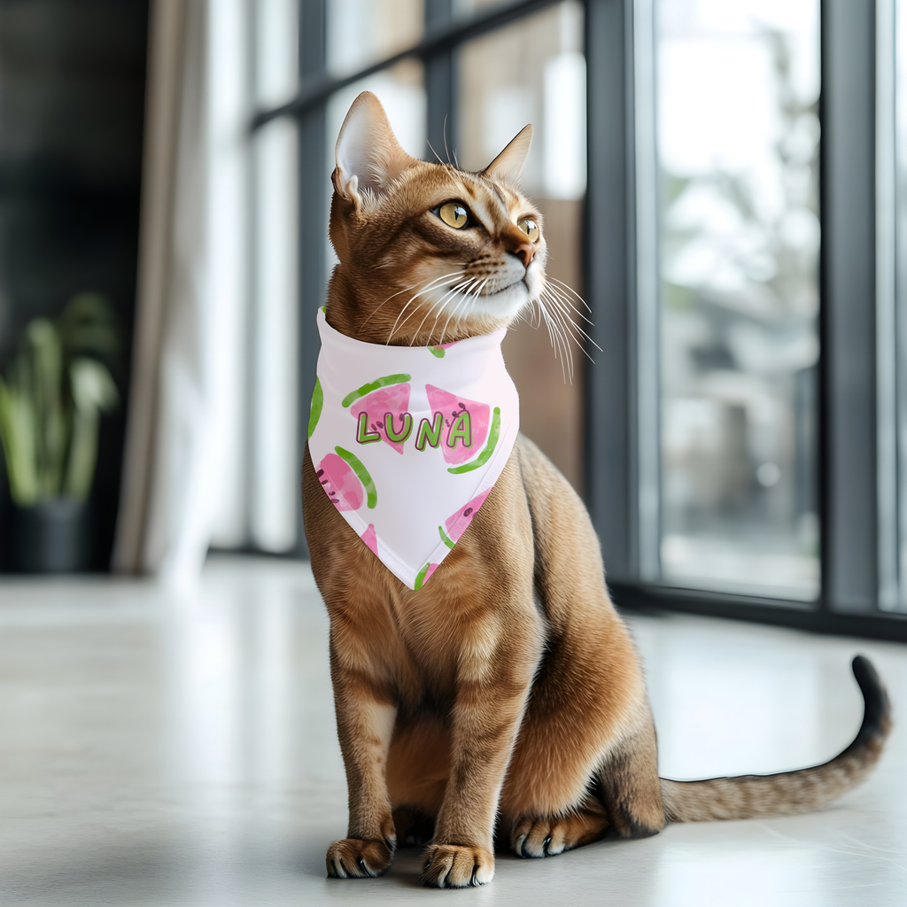 Bandana personnalisé pour chien et chat melon d'eau | Amis & Animaux